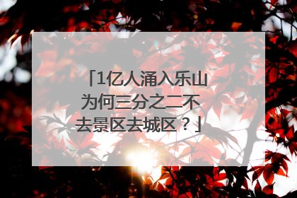 1亿人涌入乐山 为何三分之二不去景区去城区？