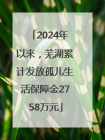 2024年以来，芜湖累计发放孤儿生活保障金2758万元