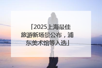 2025上海最佳旅游新场景公布，浦东美术馆等入选