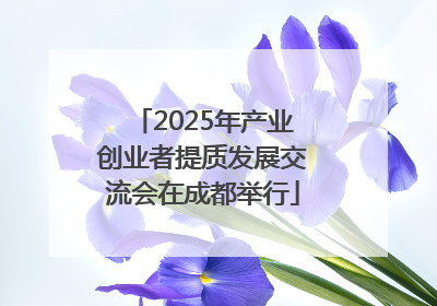 2025年产业创业者提质发展交流会在成都举行