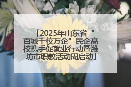 2025年山东省“百城千校万企”民企高校携手促就业行动暨潍坊市职教活动周启动