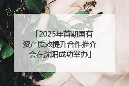 2025年首期国有资产质效提升合作推介会在沈阳成功举办
