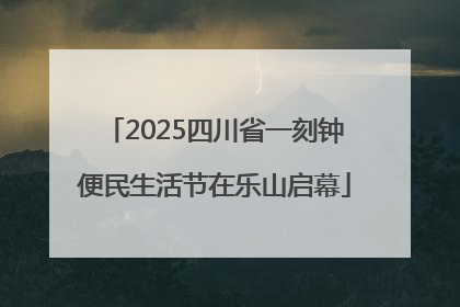 2025四川省一刻钟便民生活节在乐山启幕