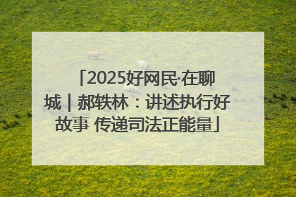 2025好网民·在聊城｜郝轶林：讲述执行好故事 传递司法正能量
