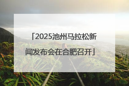 2025池州马拉松新闻发布会在合肥召开