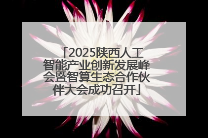 2025陕西人工智能产业创新发展峰会暨智算生态合作伙伴大会成功召开