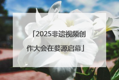 2025非遗视频创作大会在婺源启幕