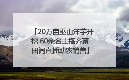 20万亩巫山洋芋开挖 60余名主播齐聚田间直播助农销售