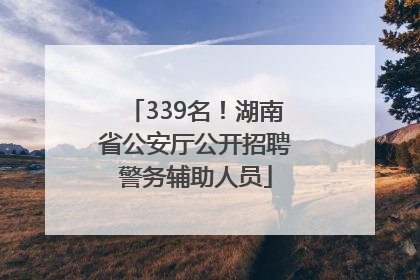 339名！湖南省公安厅公开招聘警务辅助人员