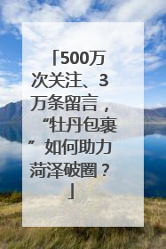 500万次关注、3万条留言，“牡丹包裹”如何助力菏泽破圈？