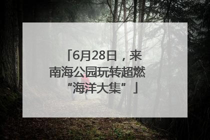 6月28日，来南海公园玩转超燃 “海洋大集”