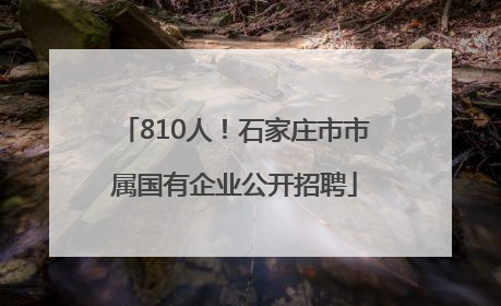 810人！石家庄市市属国有企业公开招聘