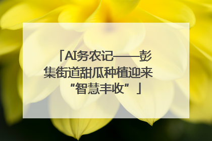 AI务农记——彭集街道甜瓜种植迎来“智慧丰收”