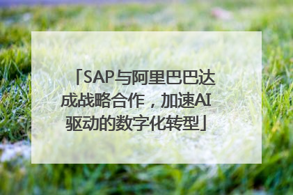 SAP与阿里巴巴达成战略合作，加速AI驱动的数字化转型