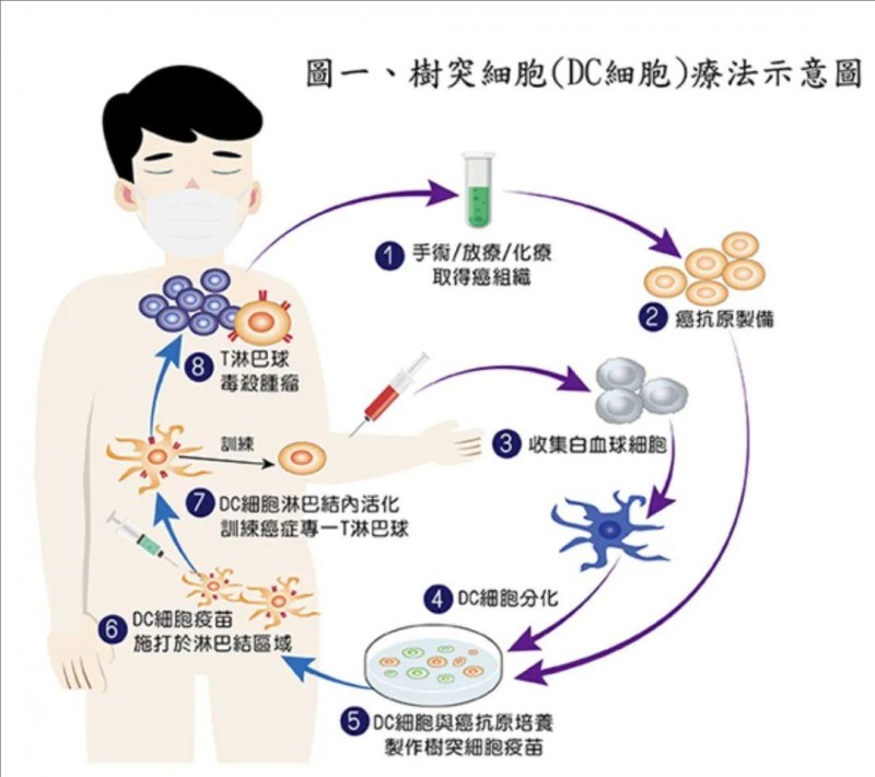 细胞治疗:一种改变未来的医疗方式