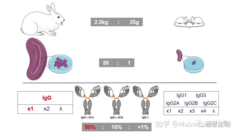 生物制品：开启医药新纪元